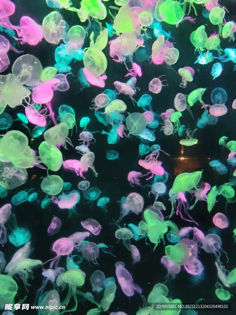 多彩梦幻纸屑背景图