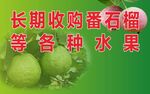 长期收购番石榴等水果