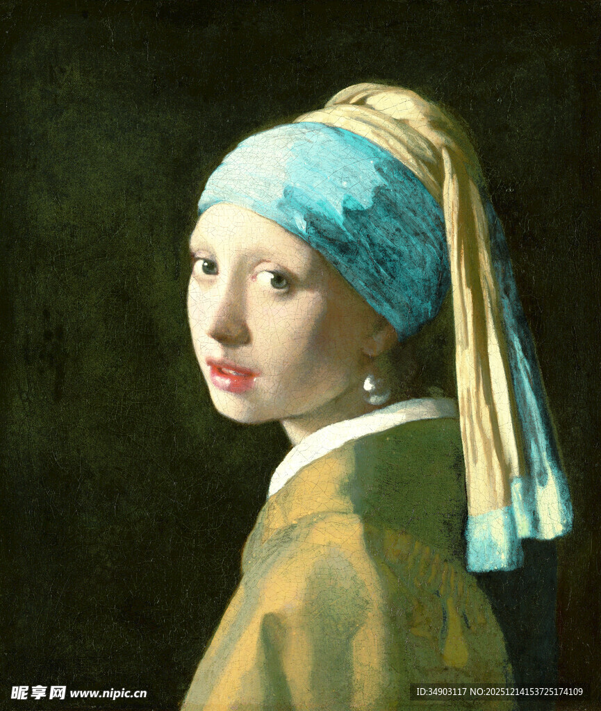 戴珍珠耳环的少女画像