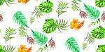 热带植物花卉无缝图案