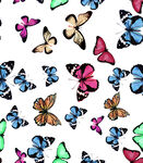 多彩蝴蝶无缝图案背景