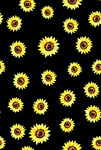 黑色背景上的向日葵图案