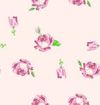 粉色玫瑰花卉图案背景