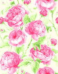 粉色花卉水彩图案背景