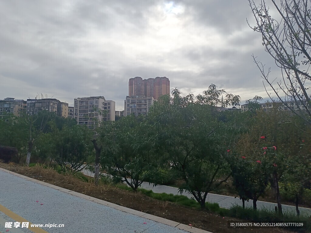 城郊公路旁的绿意与建筑