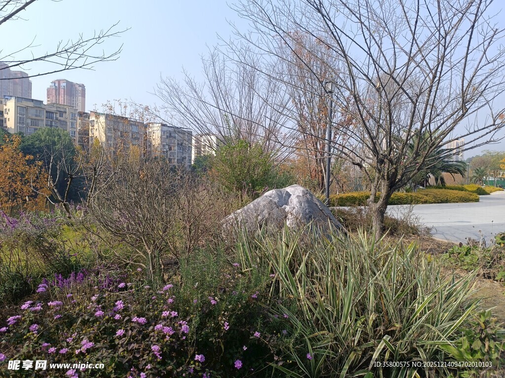 城市中的自然景观一角