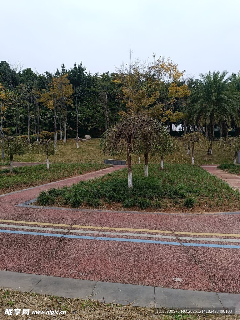 公园中的红砖步道景观