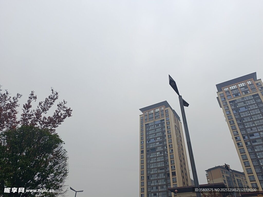 城市高楼与街边绿植景观