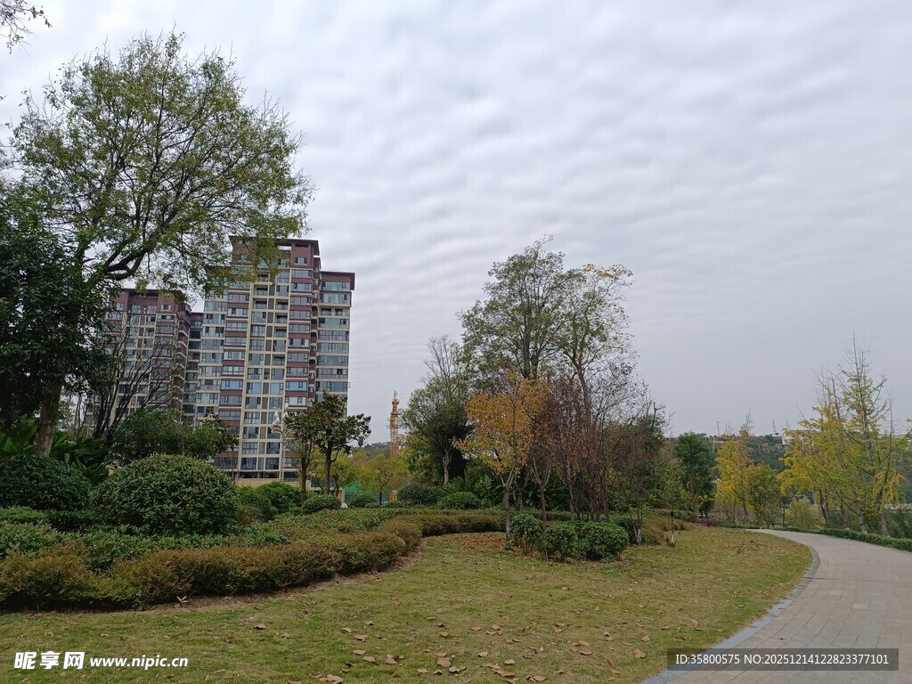 城郊小路旁的绿植与建筑