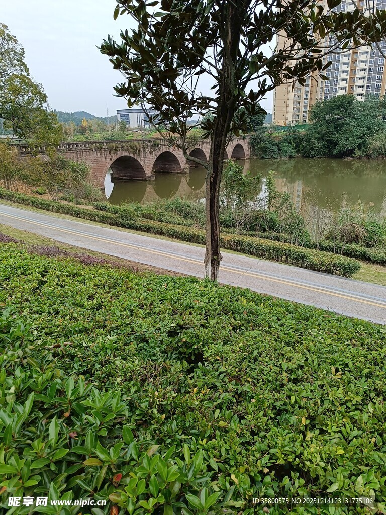 河畔绿树石桥风景图