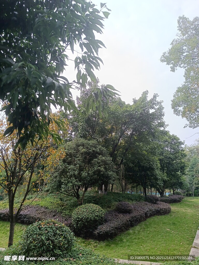 绿意盎然的公园景观