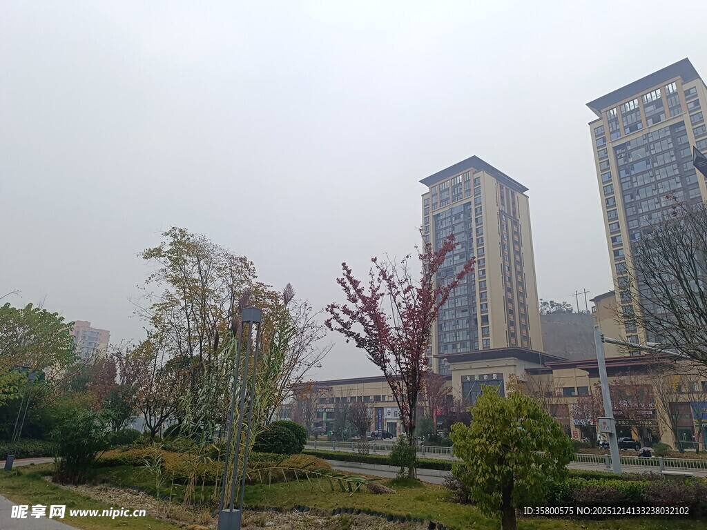 城市公园旁的高楼景致