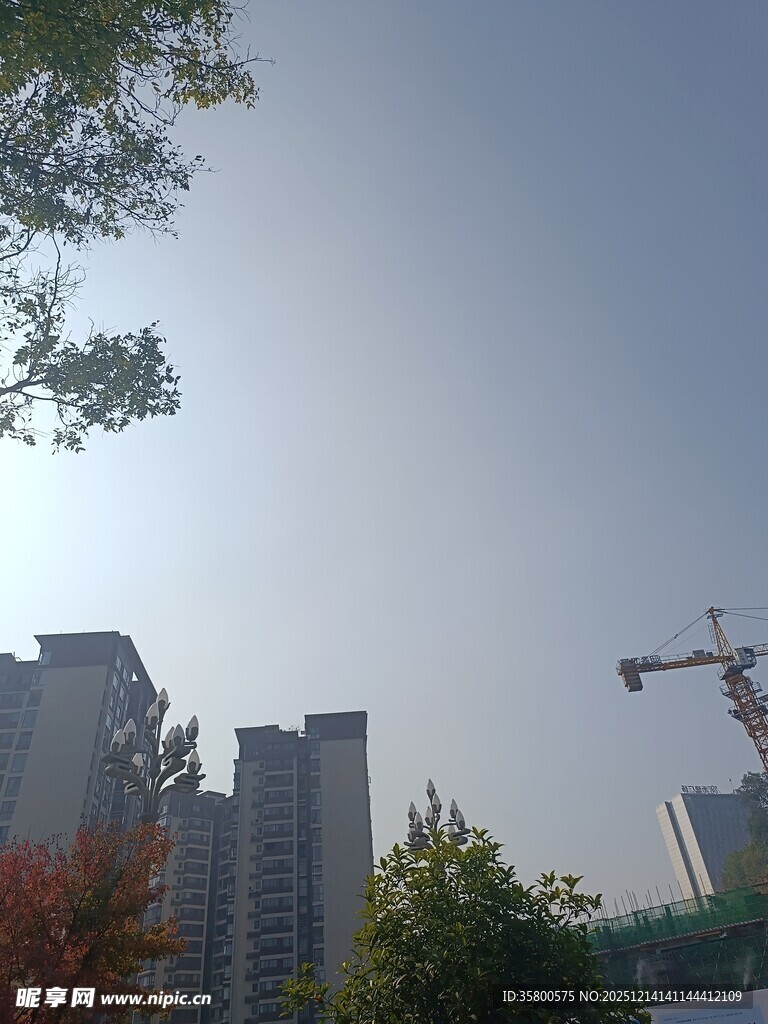 城市建筑与施工塔吊景观