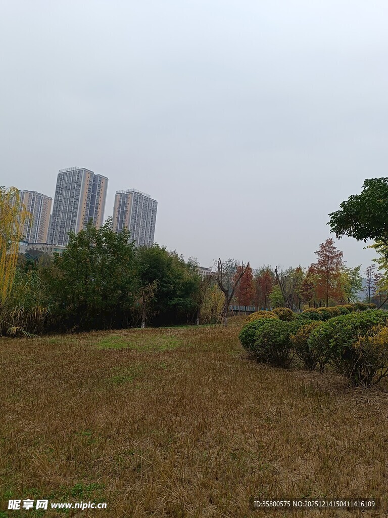 城郊草地与远处高楼景观