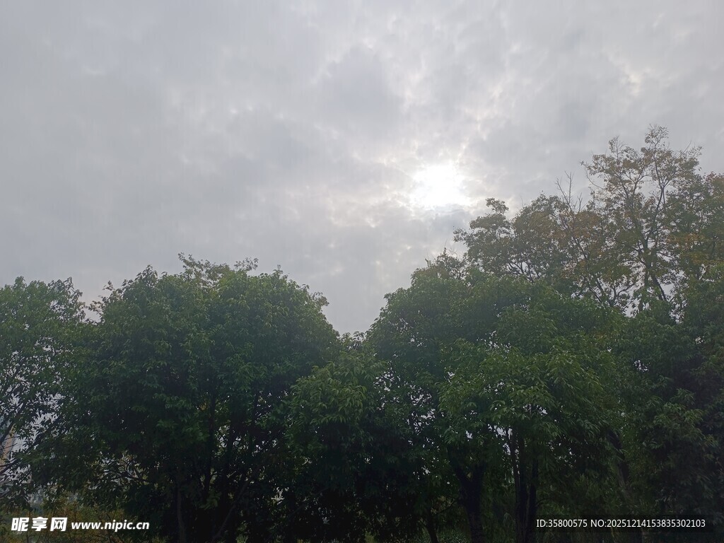 林间云雾缭绕的天空