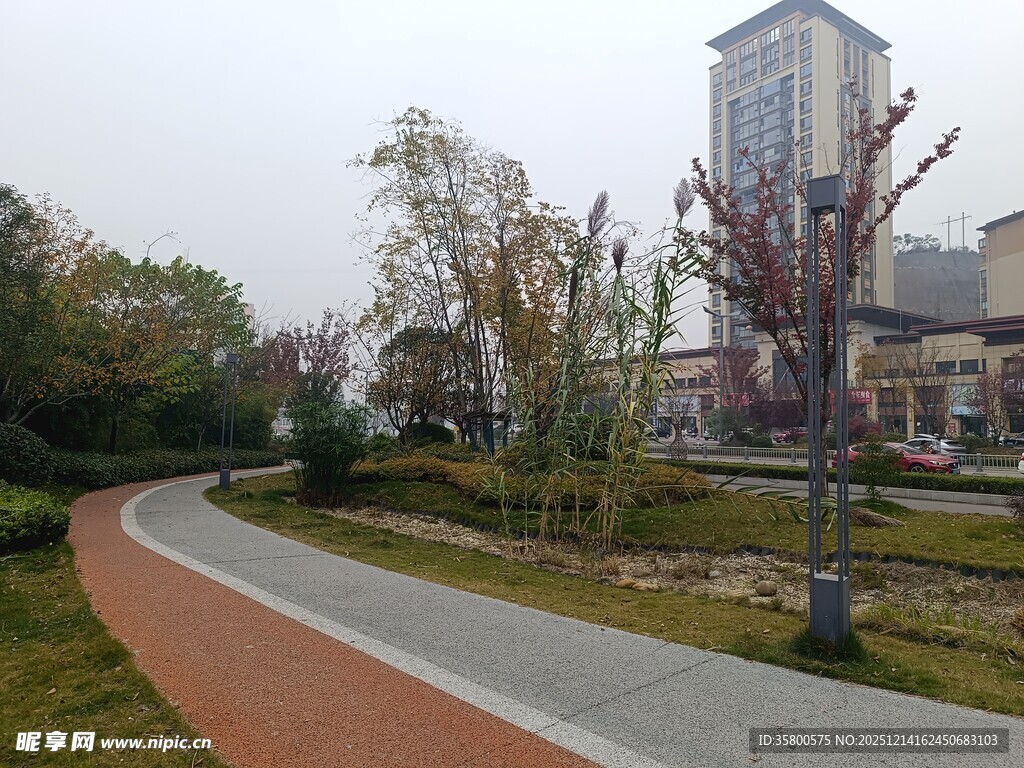 城市中蜿蜒的多彩步道