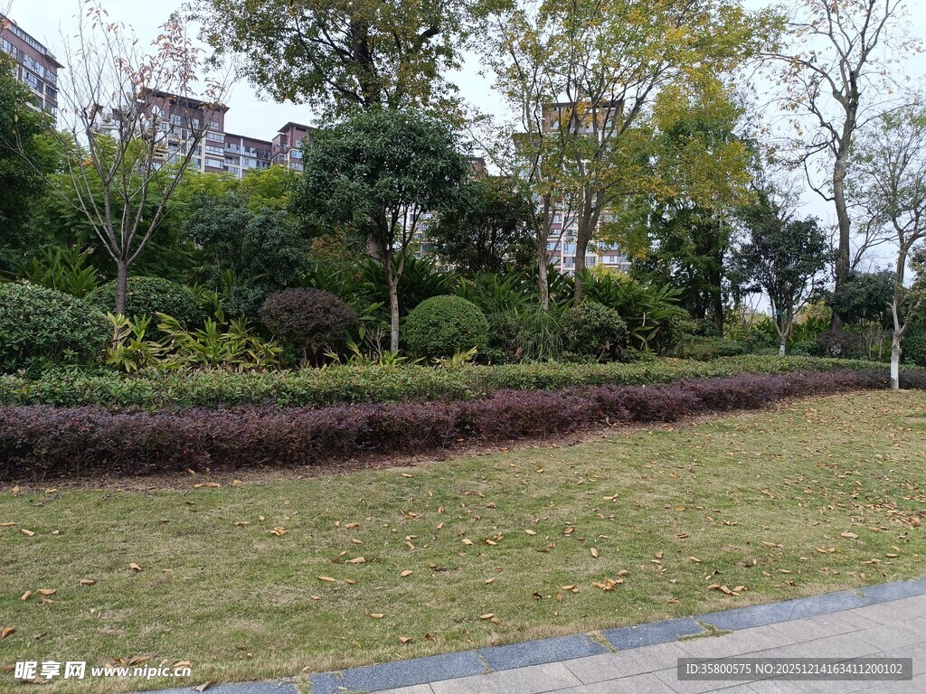 小区绿意盎然的景观一角