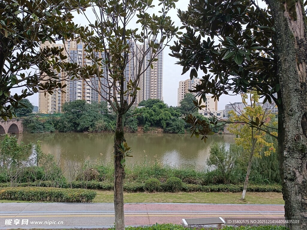 城市河边景致