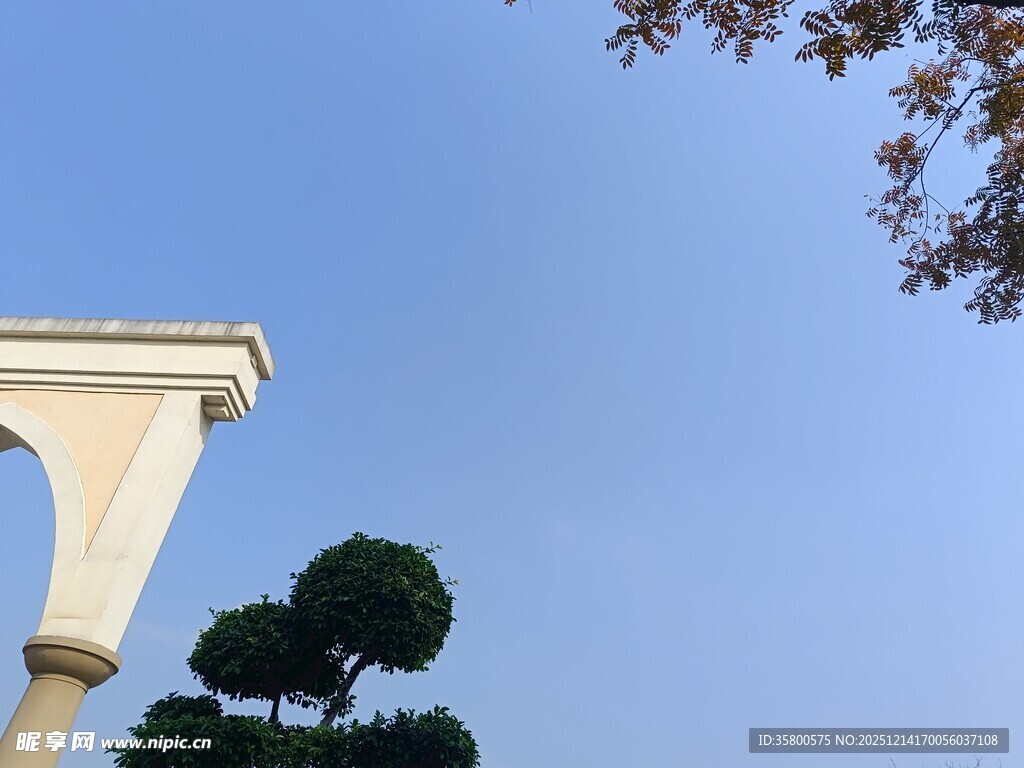 蓝天映衬下的建筑与绿植