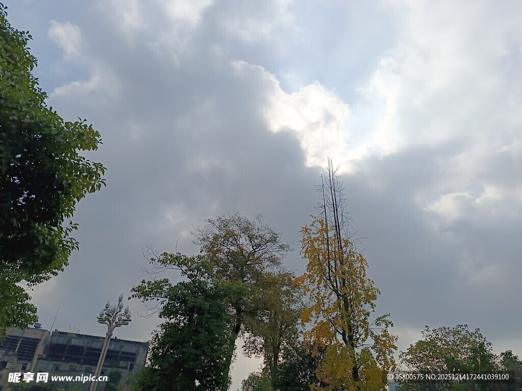 蓝天白云下的绿树建筑