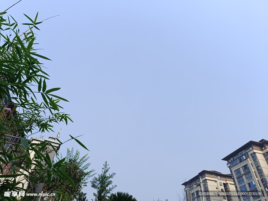 蓝天绿树旁的高层住宅