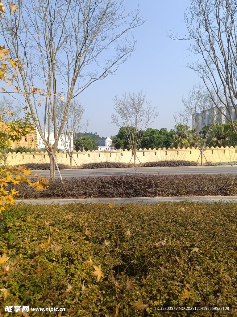 秋日户外开阔风景