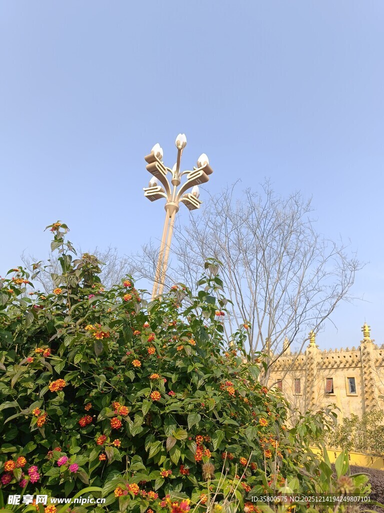 路灯立于绿植与建筑间