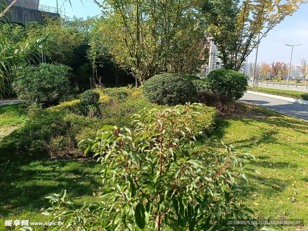 户外绿意盎然的园林景观