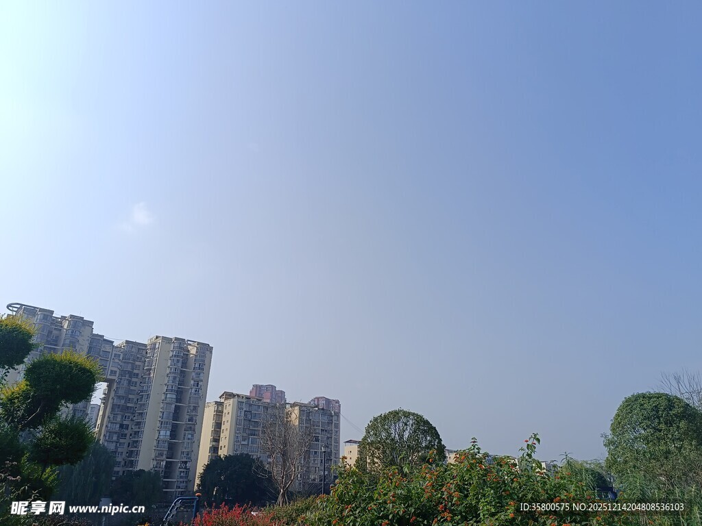 城市高楼与绿植景观