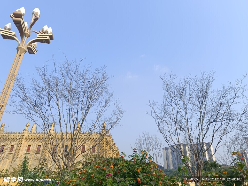 城市路灯与建筑景观