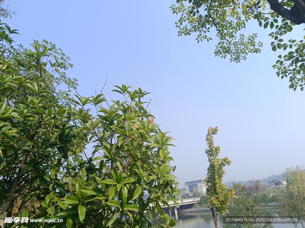 湖畔绿树蓝天美景