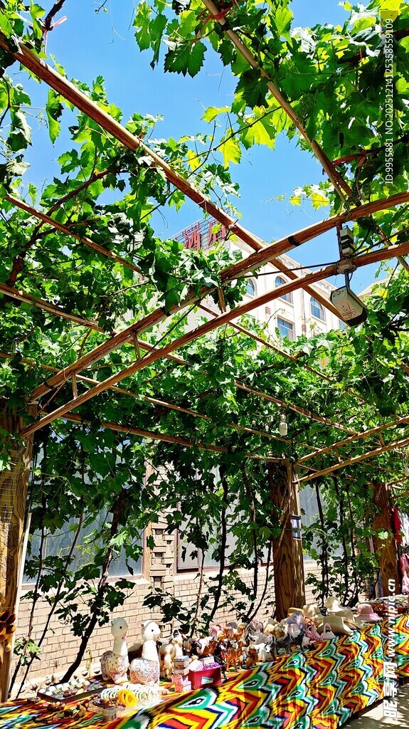 葡萄架下的多彩休闲空间