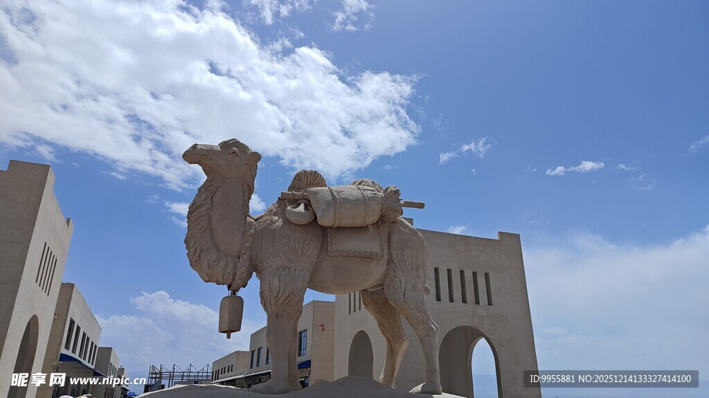 青海湖茶卡骆驼立于建筑前的风景
