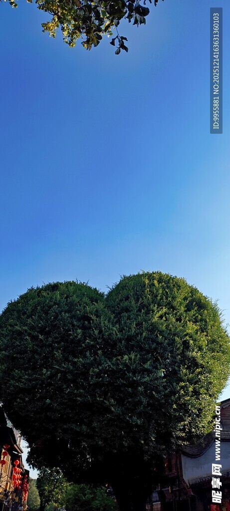 福建福州闽南心形绿树与蓝天美景