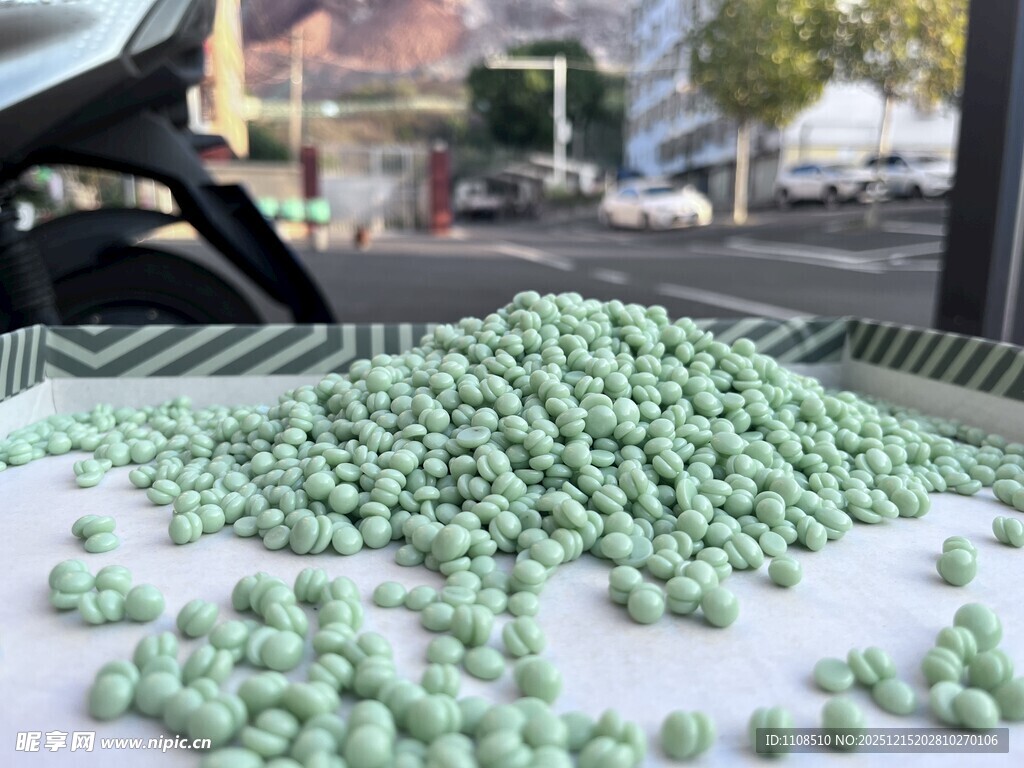  腊豆摄影 腊豆图片 脱毛腊豆