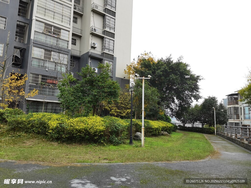 小区外绿植环绕的道路