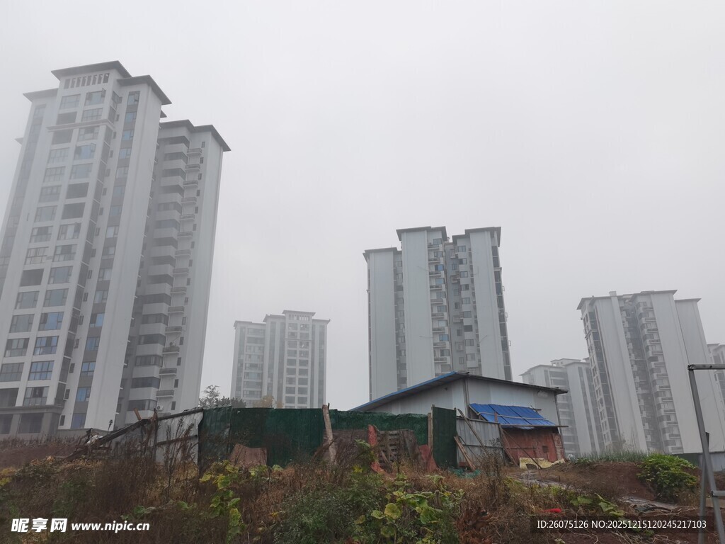 雾中高楼林立的城市景象