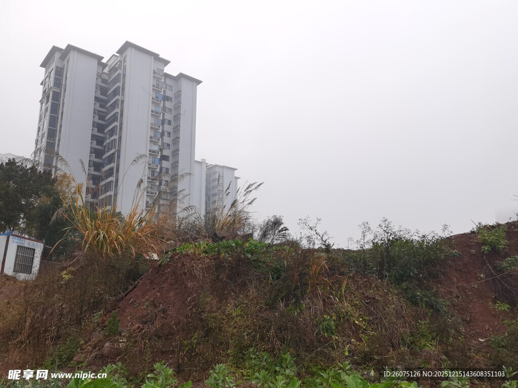 城市高楼旁的荒坡景观