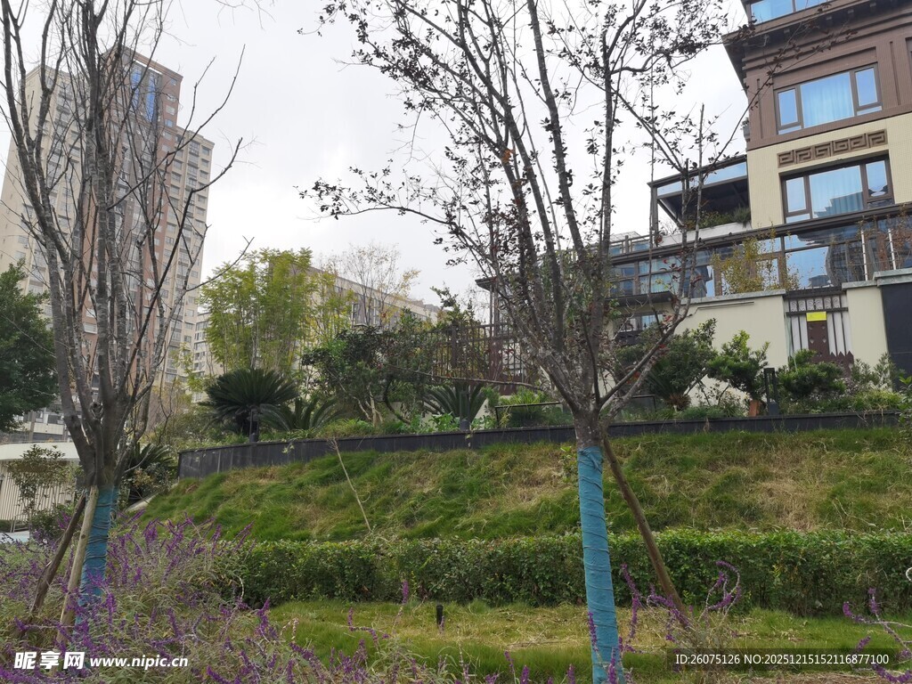 小区绿化景观一角