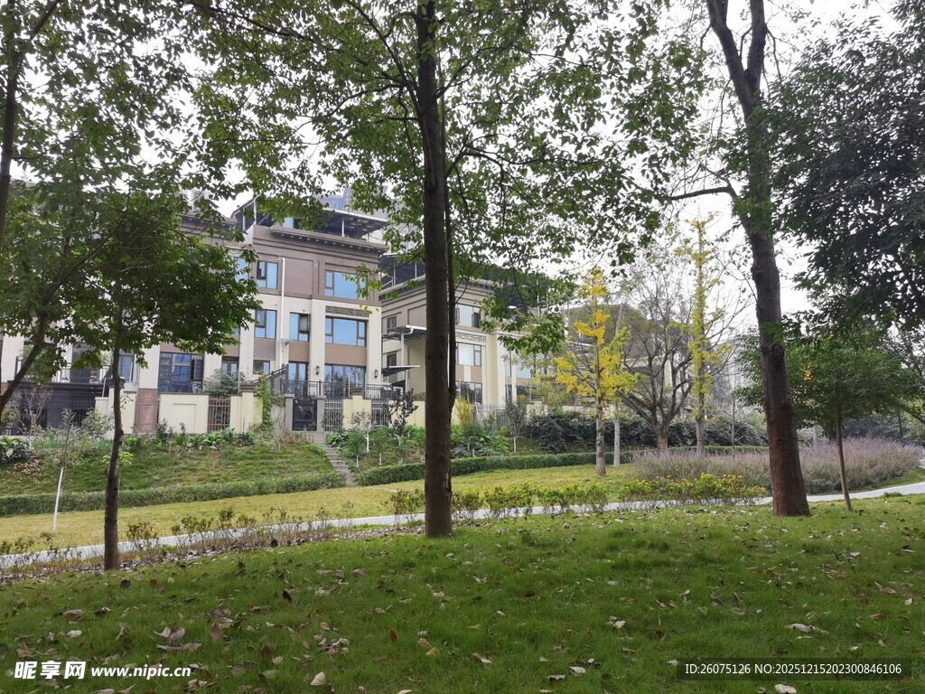 公园中的雅致建筑