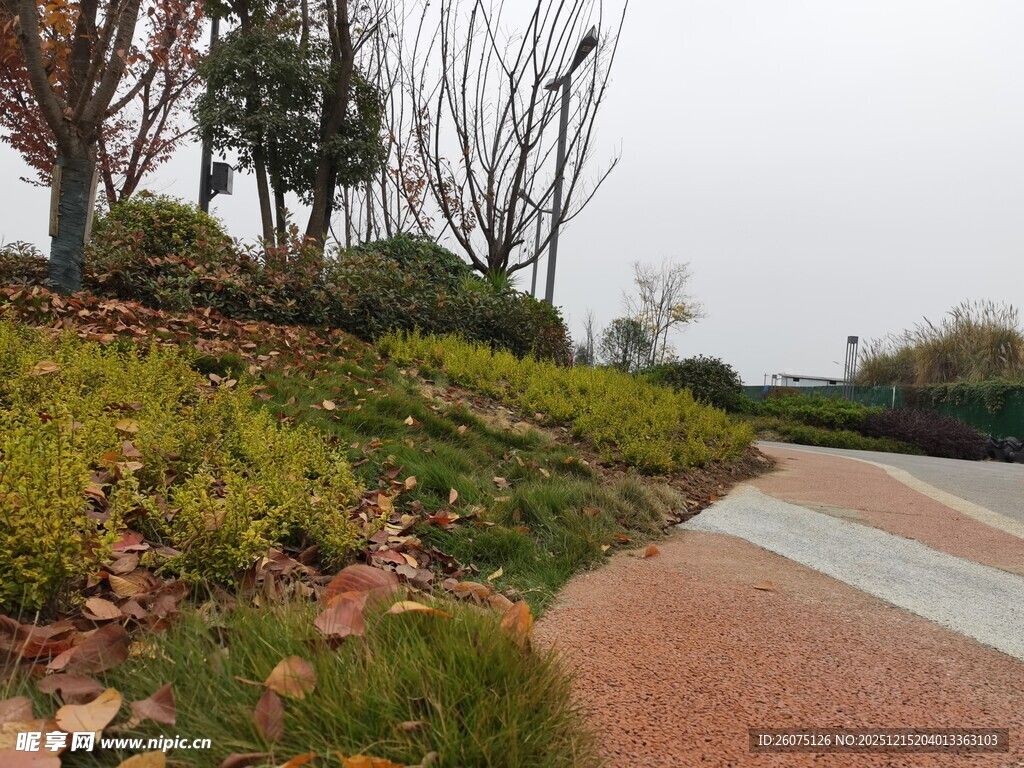 城市中的多彩景观步道