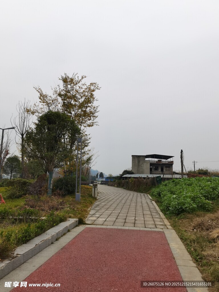 户外红色步道与绿植景观