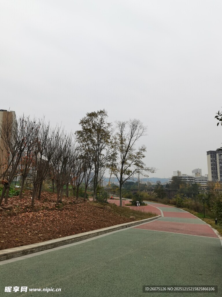 城市中的休闲彩色步道