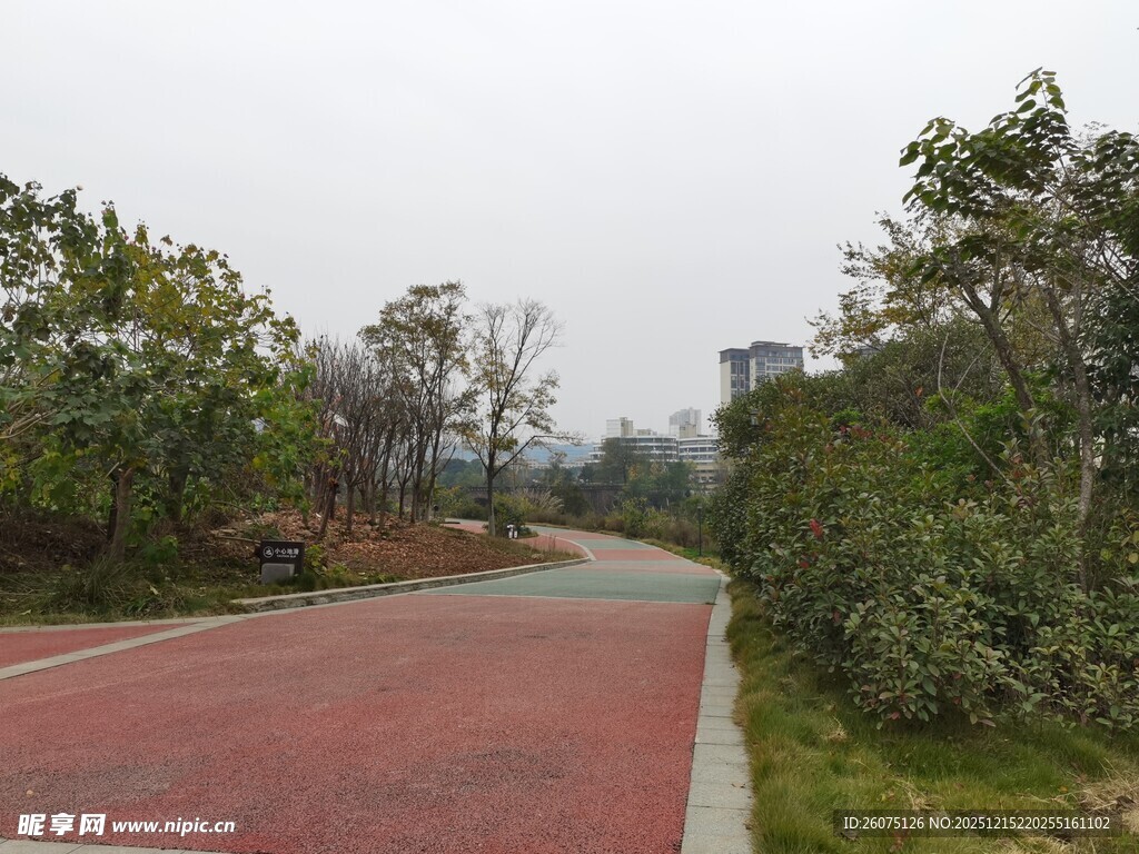 户外红色步道与绿植景观