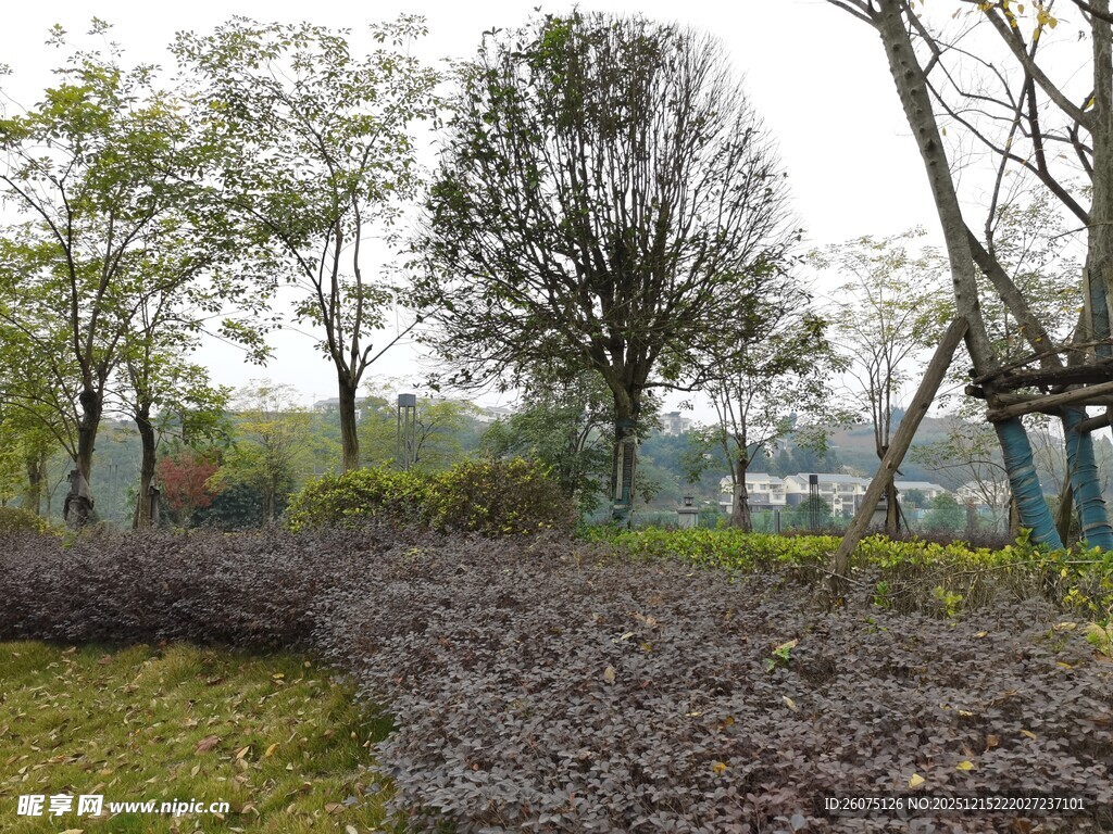 城市中的静谧园林景观