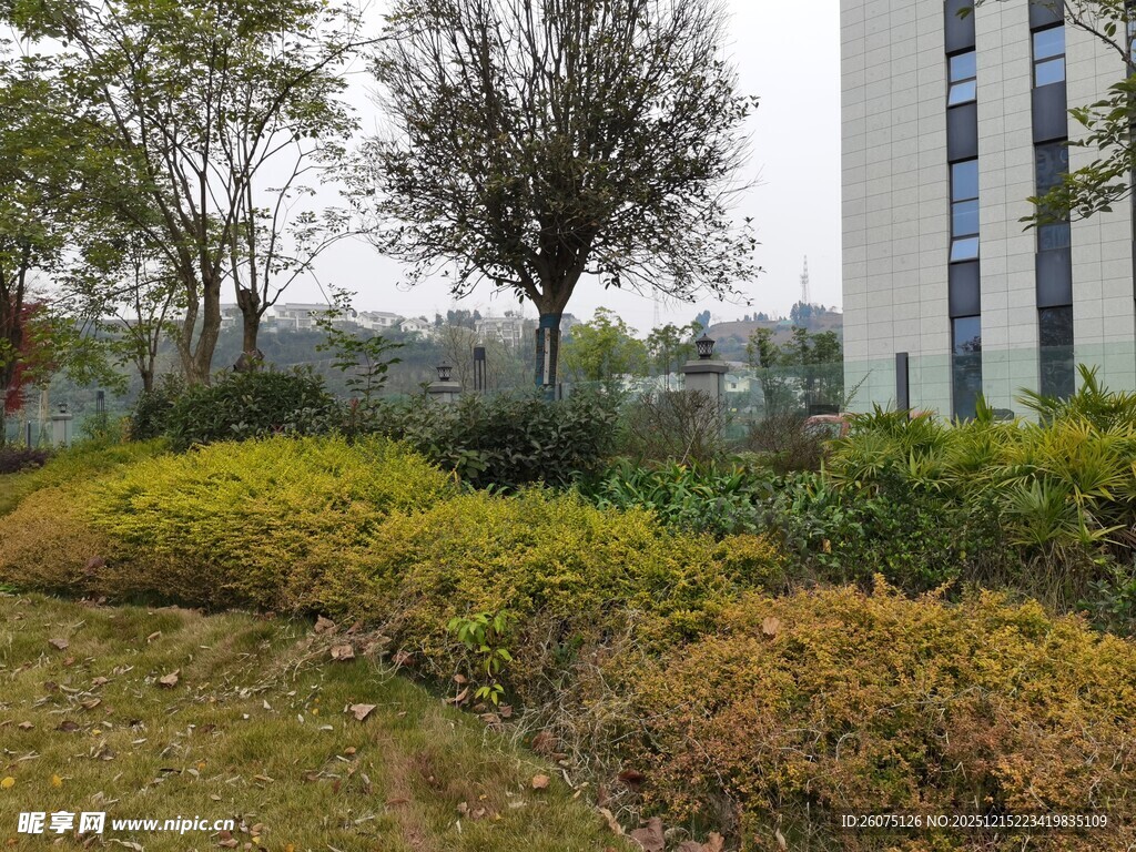 城市绿植景观一角