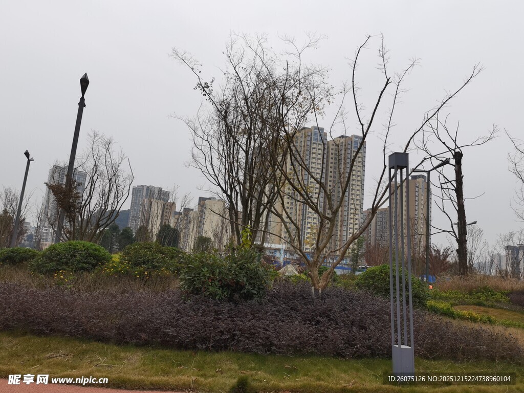 城市公园冬日景观