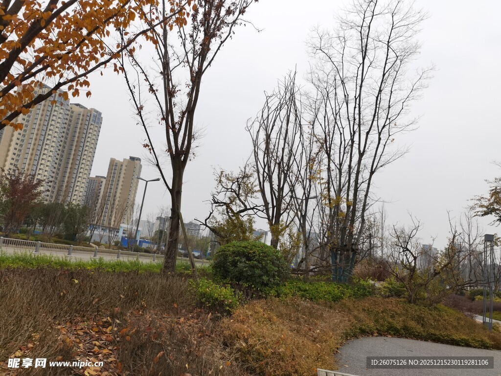 城市秋冬时节的萧瑟景致