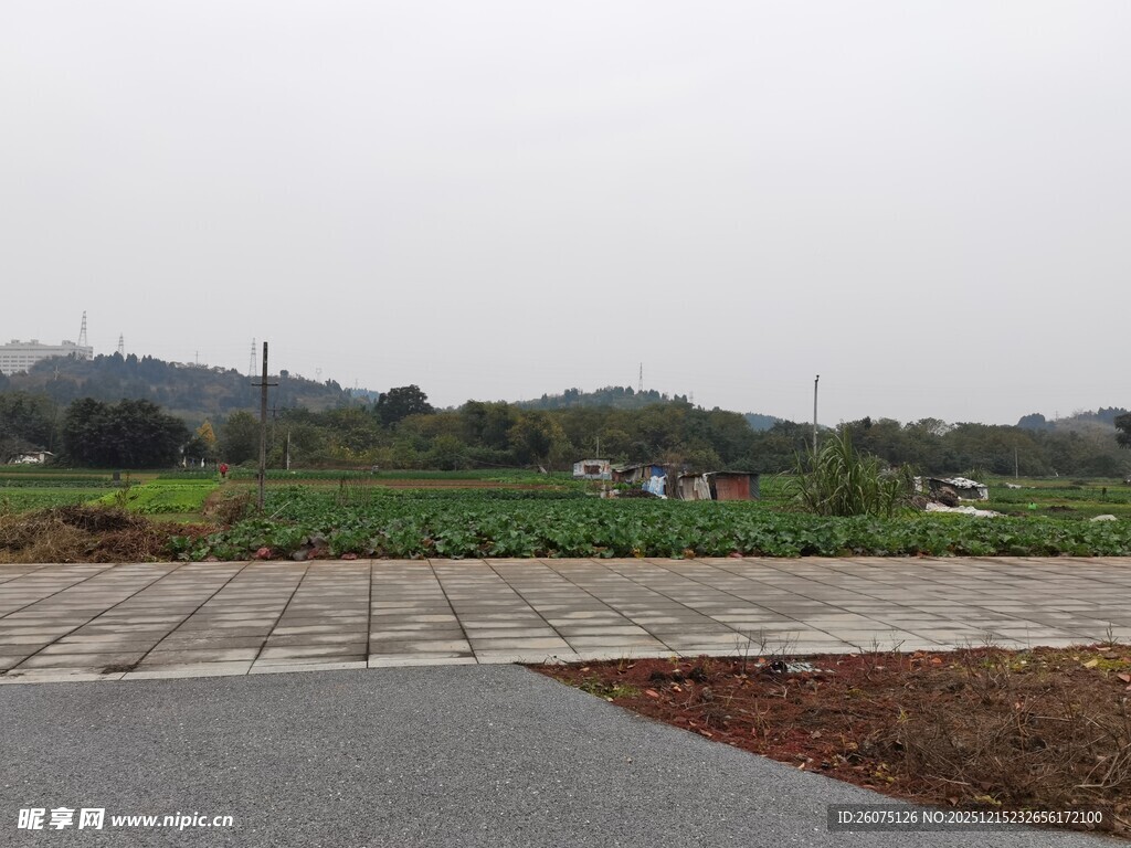 乡村田野旁的道路景观