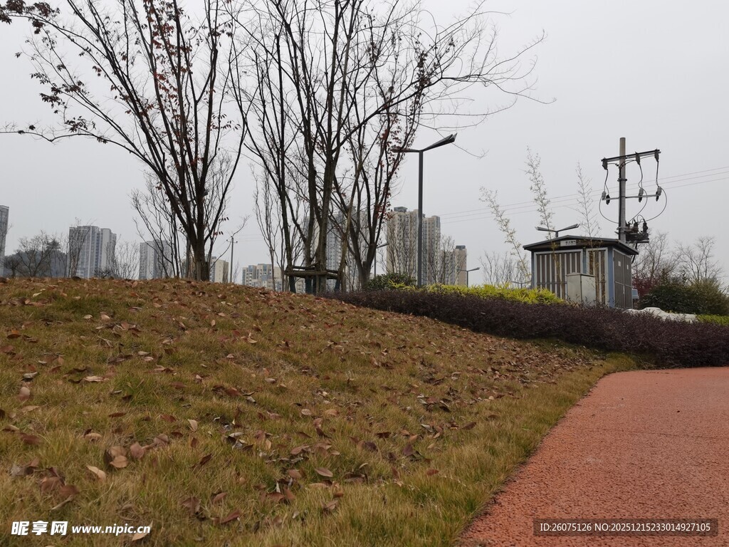 城郊秋日小径风景